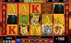 Spiel Royal Cats