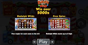 Rudolph Gone Wild: Bonus Spiele