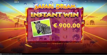 Safari Dream: Bonus Spiele