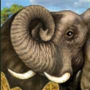 Savanna`s Life: Elefant