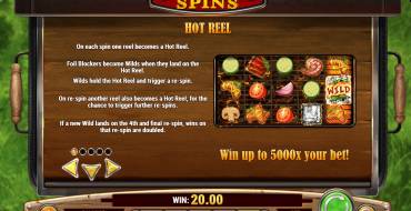 Sizzling Spins: Bonus Spiele