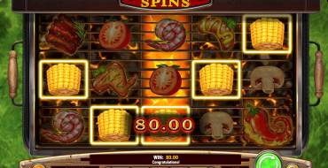 Sizzling Spins: Gewinne