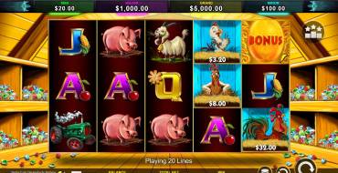 Stellar Cash Chicken Fox 5x Skillstar: Spielautomat