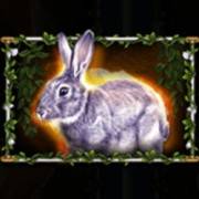 Story Of Gaia: Hase