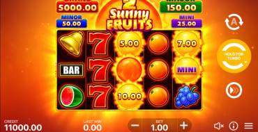 Sunny Fruits 2: Hold and Win: Spielautomat