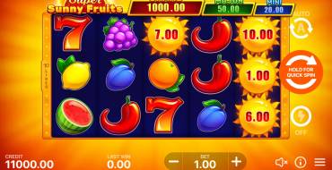 Super Sunny Fruits: Halten und Gewinnen