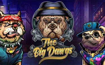 The Big Dawgs