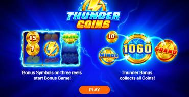 Thunder Coins: Hold and Win: Einzigartige Merkmale