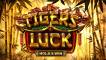 Tiger's Luck Hold&Win (Betsoft)