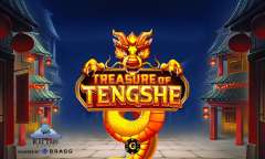 Spiel Treasure of Tengshe