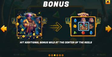 Tropical Gold: Bonus Spiele