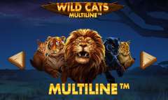 Spiel Wild Cats Multiline