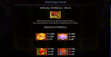 Wild Dragon Riches: Auszahlungstabelle