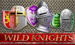 Spiel Wild Knights