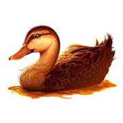 Wild Survivor: Ente