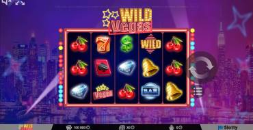 Wild Vegas: Schnittstelle