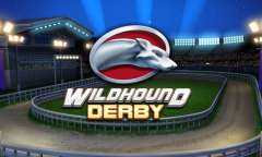 Spiel Wildhound Derby