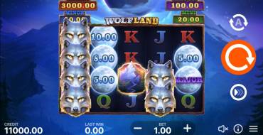 Wolf Land: Hold and Win: Spielautomat