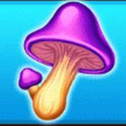 Wood Luck!: Pilz