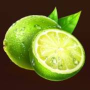 Xtreme Summer Hot: Limette