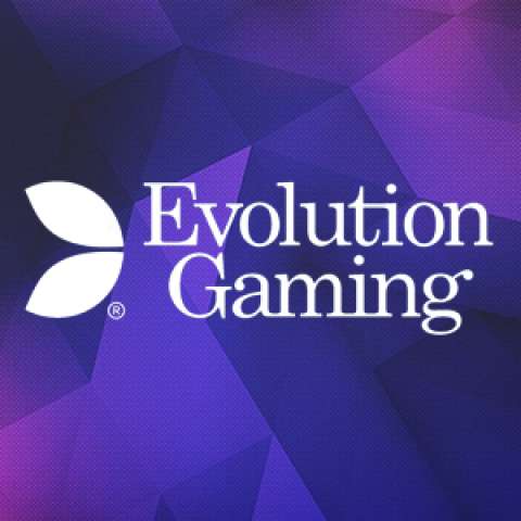 Evolution Gaming logo